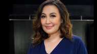 Sharon Cuneta’s post showing her “bayong” caught netizens’ attention