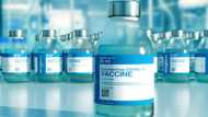 COVID-19 could last for a long-time even with worldwide vaccine rollout