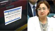 Licenses of 9 construction companies owned by Sarah Discaya, revoked by PCAB