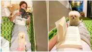 Kathryn Bernardo posts adorable photos with one of her fur babies