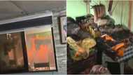 5 dogs die after being trapped inside a burning house