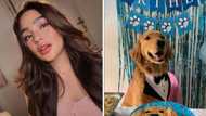 Andrea Brillantes, sa pagpatay kay Killua: "It's never 'just a dog'"