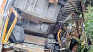 Fatal crash in Quezon: Delivery van hits tree, Kills driver and helper