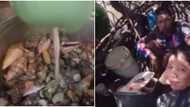 Food vlogger sa Palawan, nasawi matapos makakain ng nakalalasong "devil crab"
