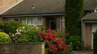 My neighbors installed a camera aimed at my garden – I taught them a lesson without going to court