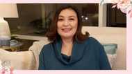 Sharon Cuneta tours Beks Battalion around her condominium unit