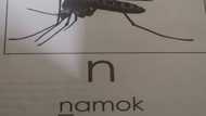 Module that called mosquitoes as "namok" in Tagalog goes viral