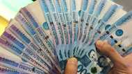 Bangko Sentral, pinalitan na ang halos P50K ng ice delivery vendor na kinain ng anay