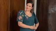 Melissa Ricks wears modern Filipiniana gown in viral photo; celebrities react
