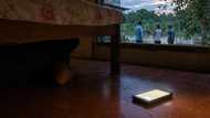 Lalaking nanloob umano sa bahay, nabisto dahil sa tumunog na cellphone