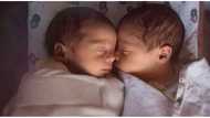 I adopted twins I found abandoned on a plane –Their mom showed up years later & gave them a document