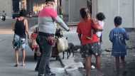 Video of old man kicking 10 kilos of rice on the street after argument with fellow homeless goes viral