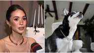 Heart Evangelista reacts to comments over her expensive jewelry on her fur baby Panda