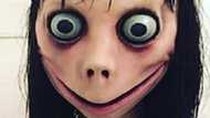 'Momo is dead,' Japanese creator of Momo reveals he has destroyed the creepy doll