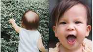 Video of baby Dahlia Heussaff chasing a butterfly goes viral