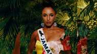 Miss Universe Jamaica Gabby Henry still in ICU after stage fall; family appeals for prayers