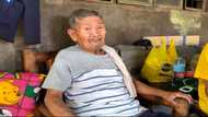 Lolo Nardo, inilahad bakit nagbenta ng 10-kilong mangga: "Ipambibili ng pagkain"