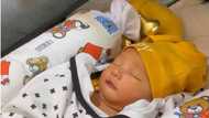 Whamos Cruz, Antonette Gail’s son Meteor’s video showing his cute moments now viral