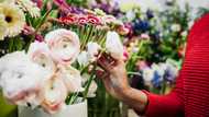 I gave birth yesterday — Then someone sent me funeral flowers instead of congratulations