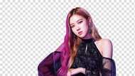 An exclusive on Rose Blackpink bio: age, height, Instagram, net worth