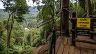 Indian national, sugatan matapos bumigay ang zipline cable sa Bukidnon