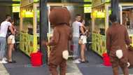 Guy in bear costume travels 2,400km to surprise GF, catches her cheating with another man