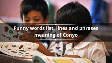 What is Conyo? 25 funny words list, lines and phrases meaning - KAMI.COM.PH