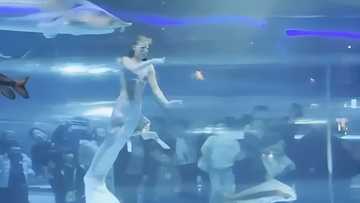 Russian performer, inatake ng higanteng isda habang nagtatanghal bilang sirena sa aquarium