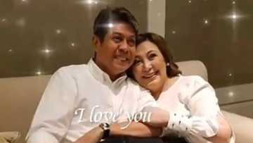 Sharon Cuneta dismisses rumor that Kiko Pangilinan abuses her