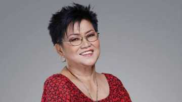 Lolit Solis gets criticized heavily for her newly-released statement vs Alex Gonzaga