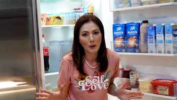 Carmina Villaroel, pinakita sa subscribers ang bonggang laman ng kanilang ref