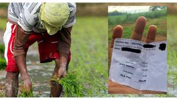 'Payslip' ng magsasakang Pinoy, isiniwalat ng isang netizen