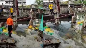 Sandbag wall controlling flood water in Navotas collapses