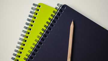 8-anyos na estudyante, nasawi matapos umanong hampasin ng notebook ng kaklase sa Davao City