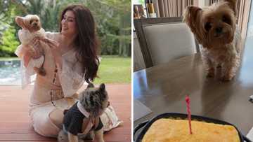Carla Abellana celebrates her dog Bubbly’s 13th birthday with heartfelt social media post