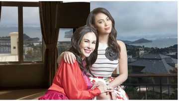 Gretchen Barretto reacts to netizen who compared Dominique to Claudine