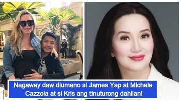 Nagaway dahil kay Kris? James Yap and Michela Cazzola allegedly had a quarrel because of Kris Aquino