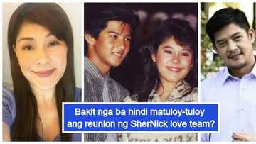 Meron daw kasing magseselos? Sheryl Cruz and Romnick Sarmenta almost reunited for 'My Guitar Princess'