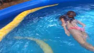 WATCH: Girl finds a giant snake in the pool, what happens next will shock you!