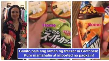 Nakakalula sa mahal! Gretchen Barretto shows off her imported ice cream and chocolates