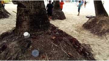 Ilang oras mula nang buksan ang Boracay, kinakitaan na agad ng mga basura