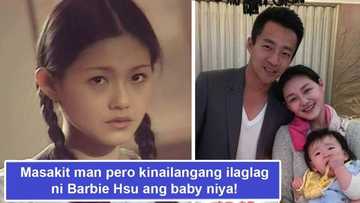 Masakit na desisyon! Barbie Hsu, Meteor Garden's Shan Cai, terminates pregnancy after baby's heart stopped beating