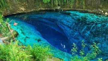 WATCH: Every 12 noon, no one is allowed to swim in this enchanted river, find out why