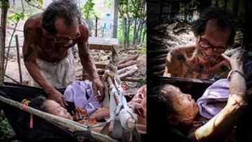 Loving husband starves himself to give enough food to bedridden wife who got bitten by snake