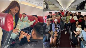 Sky-high wedding proposal aboard AirAsia Philippines flight to Bohol