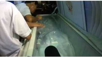 Hinagpis ng ina! Nanay ni Christine Silawan, hinimatay sa libing ng anak