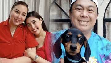 Dani Barretto, nag-react sa "great mother" comment ni Dennis Padilla sa kanya