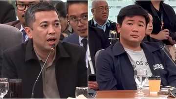 DPWH: Hernandez and Mendoza, "perpetually disqualified from public office"