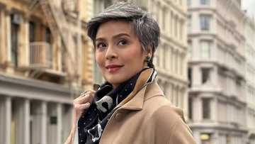 Dawn Zulueta, inaliw ang netizens sa komentong iniwan niya sa post ni Christian Antolin