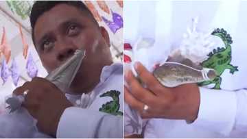 MEXICAN TRADITION: Mayor ties the knot with a crocodile